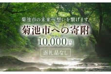 菊池市への寄附(返礼品はありません) 熊本県 菊池市 返礼品なし 10,000円