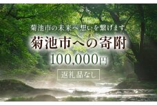 菊池市への寄附(返礼品はありません) 熊本県 菊池市 返礼品なし 100,000円