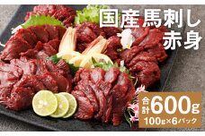 【フジチク】国産馬刺し赤身（600g）馬刺し 赤身 馬肉 熊本県《30日以内に出荷予定(土日祝除く)》