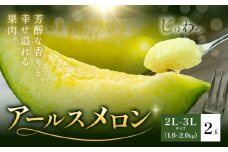 アールスメロン 2玉 2L～3Lサイズ メロン《4月上旬～11月中旬に順次発送予定》熊本県 菊池市 果物 フルーツ 青果物 菊池市産 熊本県産 九州産 国産 送料無料 