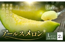 アールスメロン  2玉 Lサイズ メロン《4月上旬～11月中旬に順次発送予定》熊本県 菊池市 果物 フルーツ 青果物 菊池市産 熊本県産 九州産 国産 送料無料 