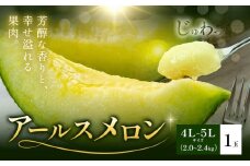 アールスメロン 1玉 4L～5L メロン《4月上旬～11月中旬に順次発送予定》熊本県 菊池市 果物 フルーツ 青果物 菊池市産 熊本県産 九州産 国産 送料無料 