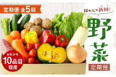 【定期便5回】 野菜 定期便 10品程度 熊本県 菊池市産  やさい 【メロンドーム】