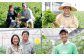 【定期便5回】 野菜 定期便 10品程度