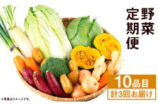 【定期便年3回】 旬の野菜 10品 セット やさい 野菜 詰め合わせ  詰合せ 定期便【養生市場】