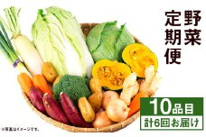 【定期便年6回】旬の野菜 10品 野菜 やさい 詰合せ 詰め合わせ セット 定期便 【養生市場】