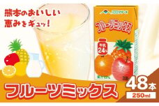 常温保存可能 フルーツミックス 250ml×48本 合同会社たべたせいか《30日以内に出荷予定(土日祝除く)》熊本県 菊池市 ミックスジュース らくのうマザーズ フルーツ牛乳 フルーツ ジュース 紙パック ジュース ドリンク