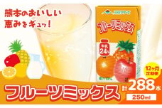 常温保存可能 【1ヶ月毎12回定期便】フルーツミックス250ml×24本 計288本 合同会社たべたせいか《お申し込みの翌月から出荷》熊本県 菊池市 ミックスジュース らくのうマザーズ フルーツ牛乳 フルーツ ジュース 紙パック ジュース ドリンク