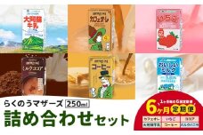 【6ヶ月定期便】常温保存可能 らくのうマザーズ 詰め合わせ セット合同会社たべたせいか《申込月の翌月から出荷開始》熊本県 菊池市 カフェオレ いちご ミルクココア 大阿蘇牛乳 コーヒー おいしいミルクバニラ 乳飲料 乳性飲料 らくのうマザーズ ドリンク