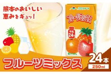 常温保存可能 フルーツミックス 250ml×24本 合同会社たべたせいか《30日以内に出荷予定(土日祝除く)》熊本県 菊池市 ミックスジュース らくのうマザーズ フルーツ牛乳 フルーツ ジュース 紙パック ジュース ドリンク