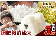 熊本県産 白米 肥後清流米 5kg 熊本県産 ふるさと納税 精米 米 こめ ふるさとのうぜい コメ お米 おこめ《10月中旬-12月末頃出荷》