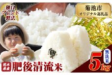 熊本県産 無洗米 肥後清流米 5kg 熊本県産 ふるさと納税 精米 米 こめ ふるさとのうぜい コメ お米 おこめ《10月中旬-12月末頃出荷》
