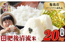 熊本県産 白米 肥後清流米 20kg 熊本県産 ふるさと納税 精米 米 こめ ふるさとのうぜい コメ お米 おこめ《10月中旬-12月末頃出荷》