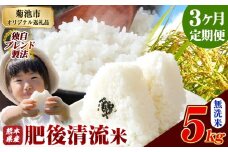 【3ヶ月定期便】熊本県産 無洗米 肥後清流米 5kg 熊本県産 ふるさと納税 精米 米 こめ ふるさとのうぜい コメ お米 おこめ《お申込み月の翌月から発送予定》
