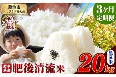 【3ヶ月定期便】熊本県産 無洗米 肥後清流米 20kg 熊本県産 ふるさと納税 精米 米 こめ ふるさとのうぜい コメ お米 おこめ《お申込み月の翌月から発送予定》
