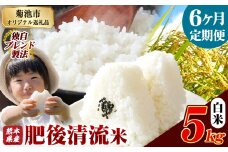 【6ヶ月定期便】熊本県産 白米 肥後清流米 5kg 熊本県産 ふるさと納税 精米 米 こめ ふるさとのうぜい コメ お米 おこめ《お申込み月の翌月から発送予定》