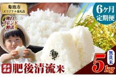 【6ヶ月定期便】熊本県産 無洗米 肥後清流米 5kg 熊本県産 ふるさと納税 精米 米 こめ ふるさとのうぜい コメ お米 おこめ《お申込み月の翌月から発送予定》