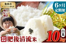 【6ヶ月定期便】熊本県産 白米 肥後清流米 10kg 熊本県産 ふるさと納税 精米 米 こめ ふるさとのうぜい コメ お米 おこめ《お申込み月の翌月から発送予定》
