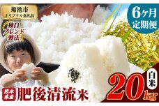 【6ヶ月定期便】熊本県産 白米 肥後清流米 20kg 熊本県産 ふるさと納税 精米 米 こめ ふるさとのうぜい コメ お米 おこめ《お申込み月の翌月から発送予定》
