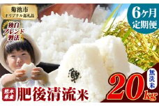 【6ヶ月定期便】熊本県産 無洗米 肥後清流米 20kg 熊本県産 ふるさと納税 精米 米 こめ ふるさとのうぜい コメ お米 おこめ《お申込み月の翌月から発送予定》