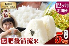 【12ヶ月定期便】熊本県産 白米 肥後清流米 5kg 熊本県産 ふるさと納税 精米 米 こめ ふるさとのうぜい コメ お米 おこめ《お申込み月の翌月から発送予定》