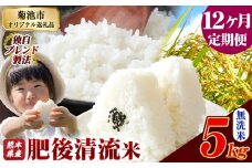 【12ヶ月定期便】熊本県産 無洗米 肥後清流米 5kg 熊本県産 ふるさと納税 精米 米 こめ ふるさとのうぜい コメ お米 おこめ《お申込み月の翌月から発送予定》