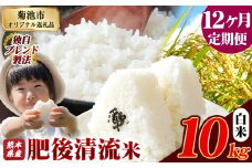 【12ヶ月定期便】熊本県産 白米 肥後清流米 10kg 熊本県産 ふるさと納税 精米 米 こめ ふるさとのうぜい コメ お米 おこめ《お申込み月の翌月から発送予定》