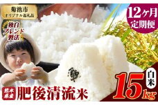 【12ヶ月定期便】熊本県産 白米 肥後清流米 15kg 熊本県産 ふるさと納税 精米 米 こめ ふるさとのうぜい コメ お米 おこめ《お申込み月の翌月から発送予定》