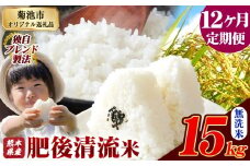 【12ヶ月定期便】熊本県産 無洗米 肥後清流米 15kg 熊本県産 ふるさと納税 精米 米 こめ ふるさとのうぜい コメ お米 おこめ《お申込み月の翌月から発送予定》