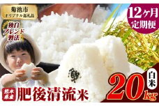 【12ヶ月定期便】熊本県産 白米 肥後清流米 20kg 熊本県産 ふるさと納税 精米 米 こめ ふるさとのうぜい コメ お米 おこめ《お申込み月の翌月から発送予定》