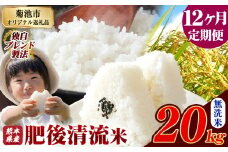 【12ヶ月定期便】熊本県産 無洗米 肥後清流米 20kg 熊本県産 ふるさと納税 精米 米 こめ ふるさとのうぜい コメ お米 おこめ《お申込み月の翌月から発送予定》