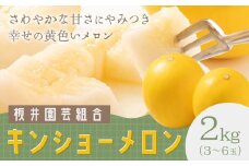 キンショーメロン 2kg(3～6玉) メロン《2026年4月上旬-7月上旬頃出荷》熊本県 菊池市 果物 フルーツ 金鐘 ノーネットメロン 黄色いメロン 菊池市産 熊本県産 九州産 送料無料