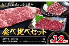 あか牛 サーロイン肉 1kg・馬刺し 200g 食べ比べセット 計1.2kg 合同会社たべたせいか《30日以内に出荷予定(土日祝除く)》牛肉 和牛 ステーキ用サーロイン肉 サーロイン 馬肉 赤身 霜降り たてがみ 馬刺し 熊本県産 送料無料