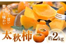 柿 太秋柿 たいしゅうがき 約2kg 日本フルーツ株式会社《9月上旬-10月末頃出荷》熊本県 菊池市 柿 かき 熊本県産 秋の味覚 果物 くだもの フルーツ デザート