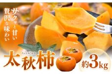柿 太秋柿 たいしゅうがき 約3kg 日本フルーツ株式会社《9月上旬-10月末頃出荷》熊本県 菊池市 柿 かき 熊本県産 秋の味覚 果物 くだもの フルーツ デザート