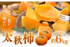 柿 太秋柿 たいしゅうがき 約6kg 日本フルーツ株式会社《9月上旬-10月末頃出荷》熊本県 菊池市 柿 かき 熊本県産 秋の味覚 果物 くだもの フルーツ デザート