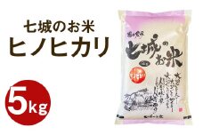 【令和7年産】 七城のお米 ヒノヒカリ 5kg 米 白米 精米 こめ コメ お米 ごはん ご飯 熊本県産 《10月中旬頃より出荷》