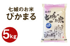 【令和7年産】 七城のお米 ぴかまる 5kg 米 白米 精米 こめ コメ お米 ごはん ご飯 熊本県産 《2025年10月中旬頃より出荷》 