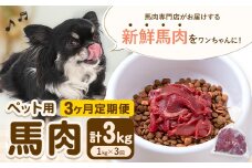【3ヶ月定期便】ペット用馬肉 1kg × 3回 計3kg 五右衛門フーズ《申込月の翌月から出荷開始》 ペット用 犬用 肉 馬肉 熊本県 菊池市