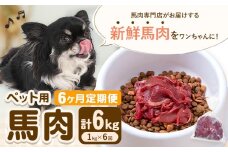 【6ヶ月定期便】ペット用馬肉 1kg × 6回 計6kg 五右衛門フーズ《申込月の翌月から出荷開始》 ペット用 犬用 肉 馬肉 熊本県 菊池市