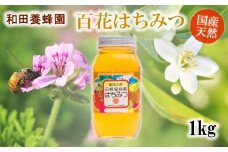 40-15　和田養蜂園　宇土市産の天然「百花はちみつ」1ｋｇ
