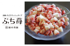 74-20　園村苺園　宇土産 完熟冷凍いちご「ぷち苺」1kg（500g×2パック）