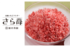 74-41　園村苺園　熊本県宇土産 完熟冷凍いちご「さら苺」1kg（500g×2パック）