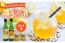 34-8　果実酢２本・塩レモン　セット(B)