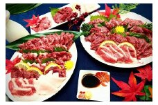 118-14 熊本県産馬刺しセット約1.6ｋｇ（盛合せ）　※タレ付