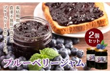 126-03　amitsu farm　ブルーベリージャム2個セット