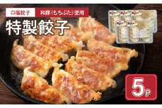 119-1 口福餃子「和（もち）豚」使用　特製餃子（冷凍生）