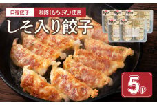 119-2 口福餃子「和（もち）豚」使用　しそ入り餃子（冷凍生）