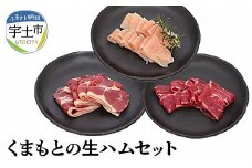 129-4　くまもとの生ハムセット