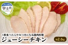 117-04 オアシス九州　ジューシーチキン 約2.6㎏